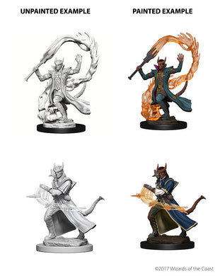 D&D Nolzurs Marvelous Unpainted Minis - Tiefling Male Sorcerer